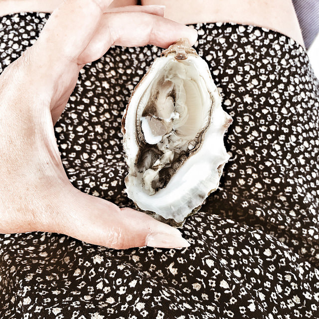 huître (cette photo a été aimée par François Busnel sur Instagram)