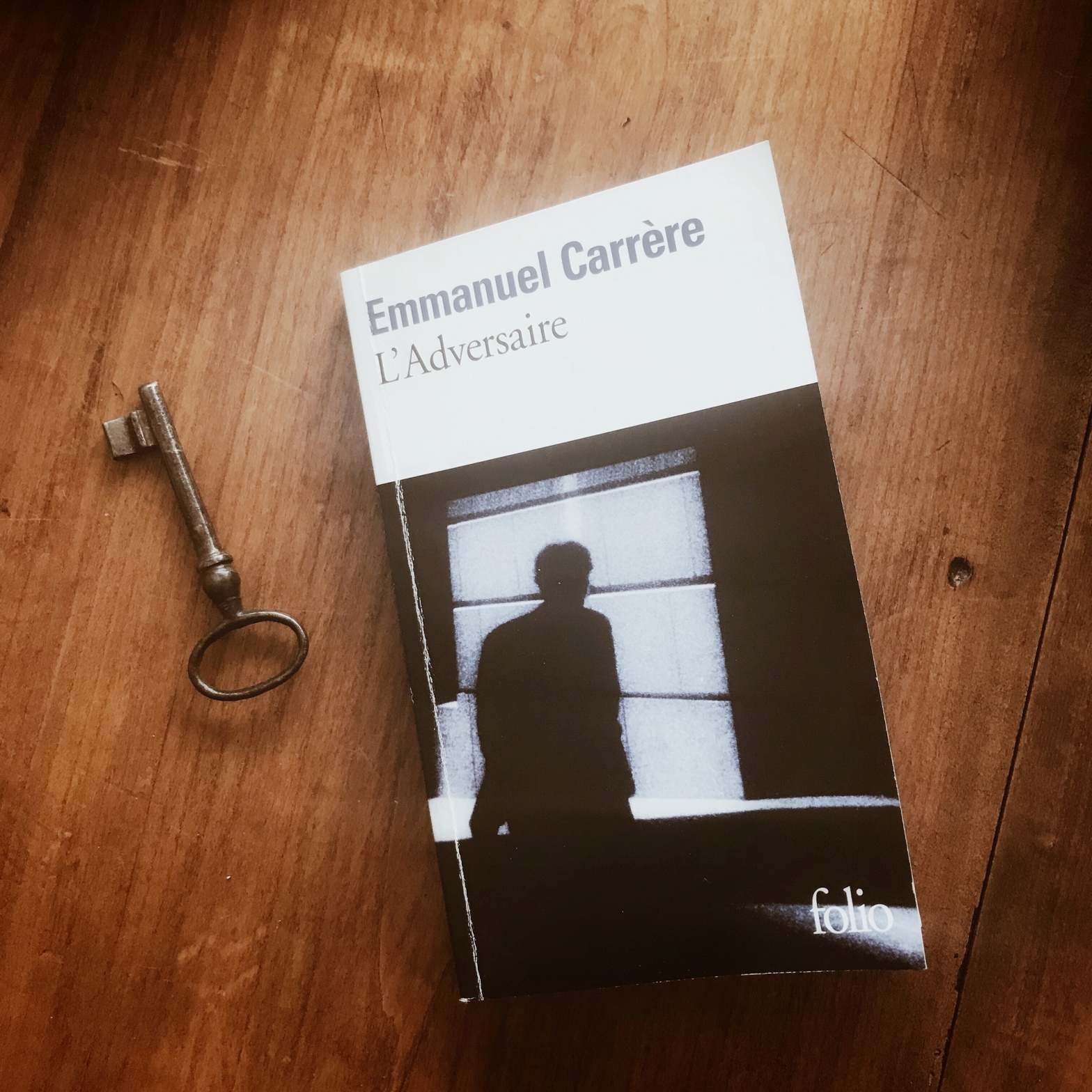 L'Adversaire, d'Emmanuel Carrère : terreur et pitié