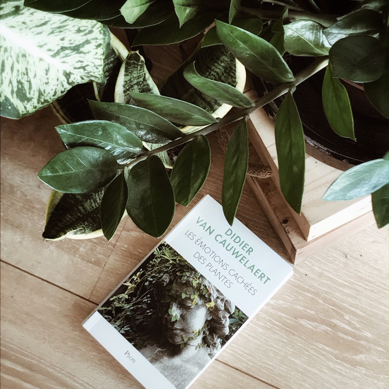 Les émotions cachées des plantes, de Didier van Cauwelaert : les végétaux ont-ils une âme ?
