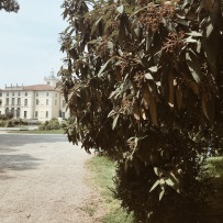 Jardin public Indro Montanelli