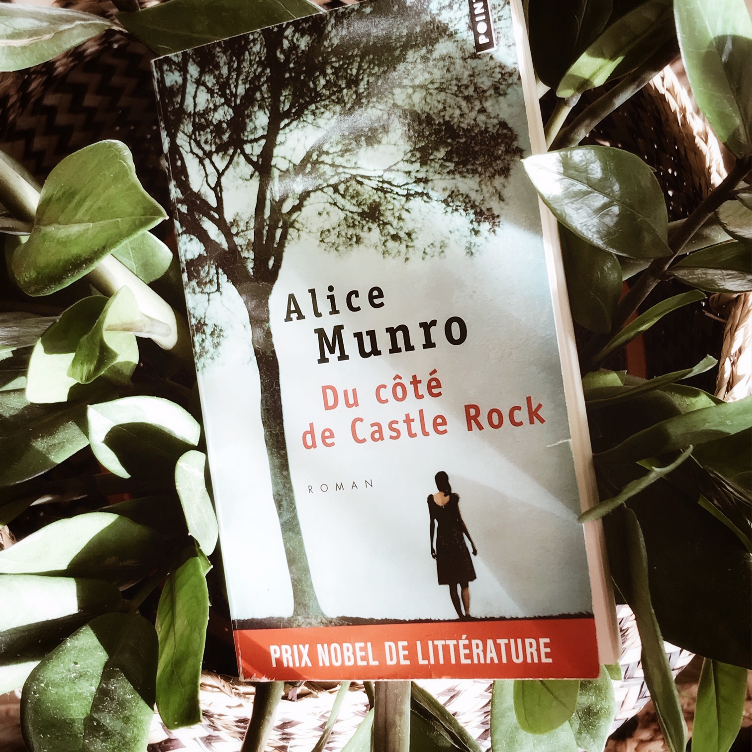 Du côté de Castle Rock, d'Alice Munro : histoire de famille