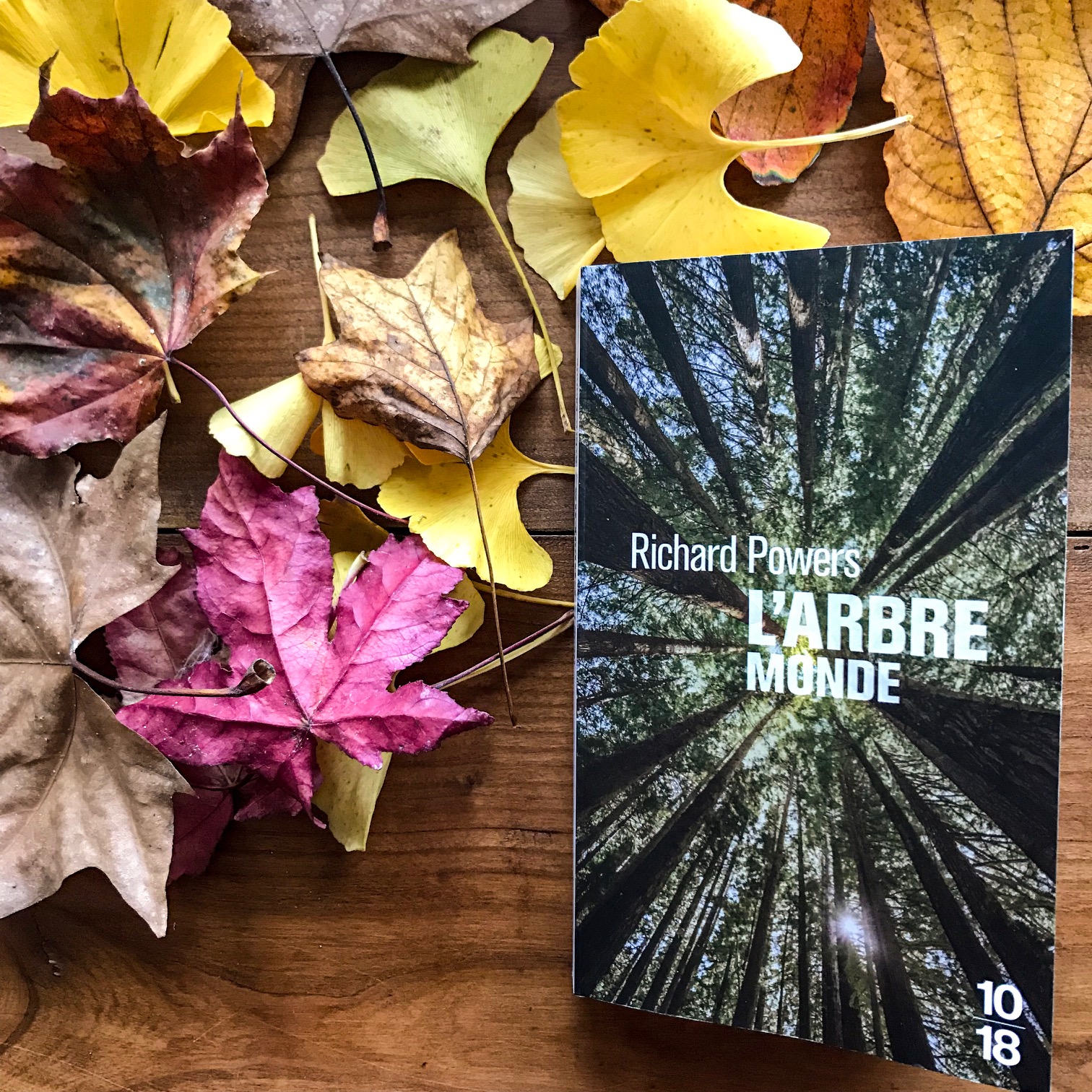 L'Arbre Monde, de Richard Powers : des forêts et des hommes
