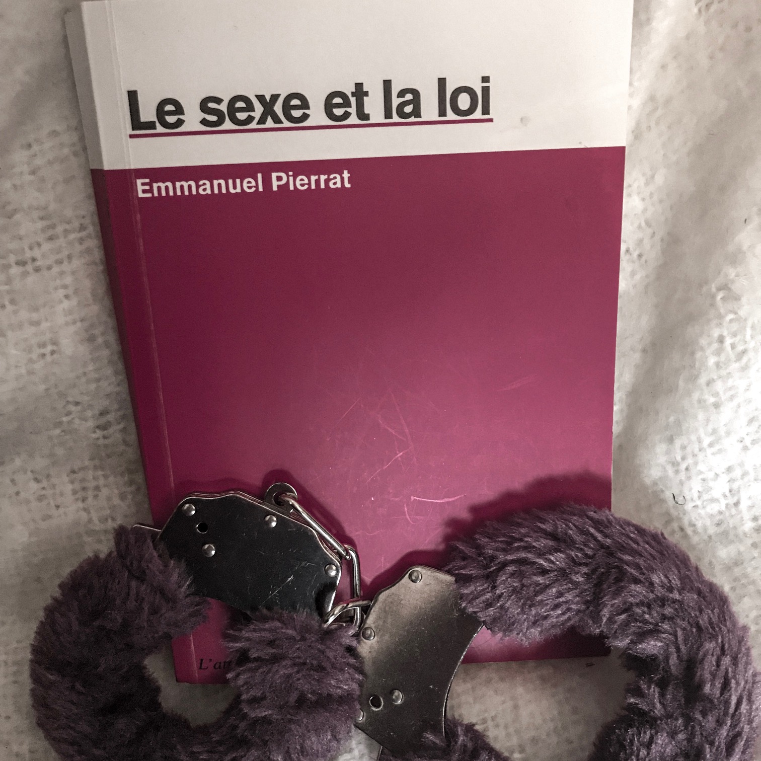 Le sexe et la loi, d'Emmanuel Pierrat : de bien troubles rapports