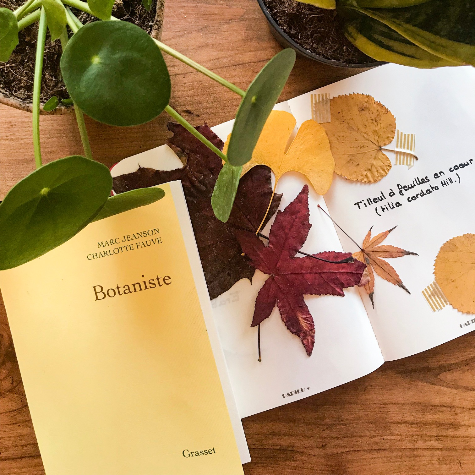 Botaniste, de Marc Jeanson et Charlotte Fauve : histoire naturelle