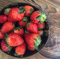 Les premières fraises