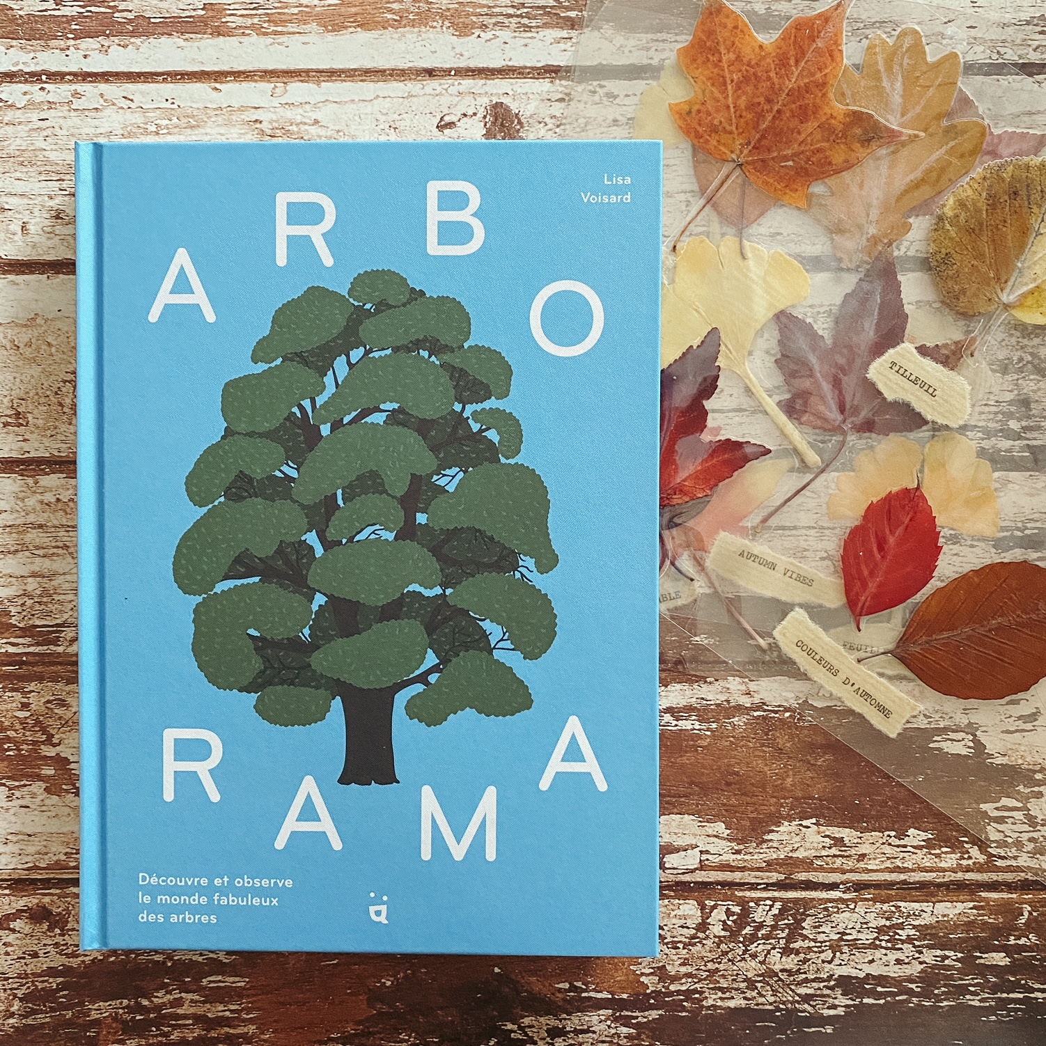Arborama, de Lisa Voisard : reconnaître les arbres