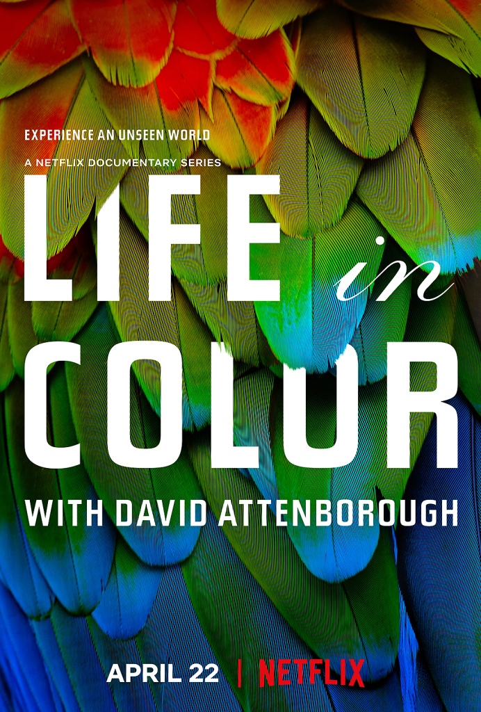 La vie en couleurs