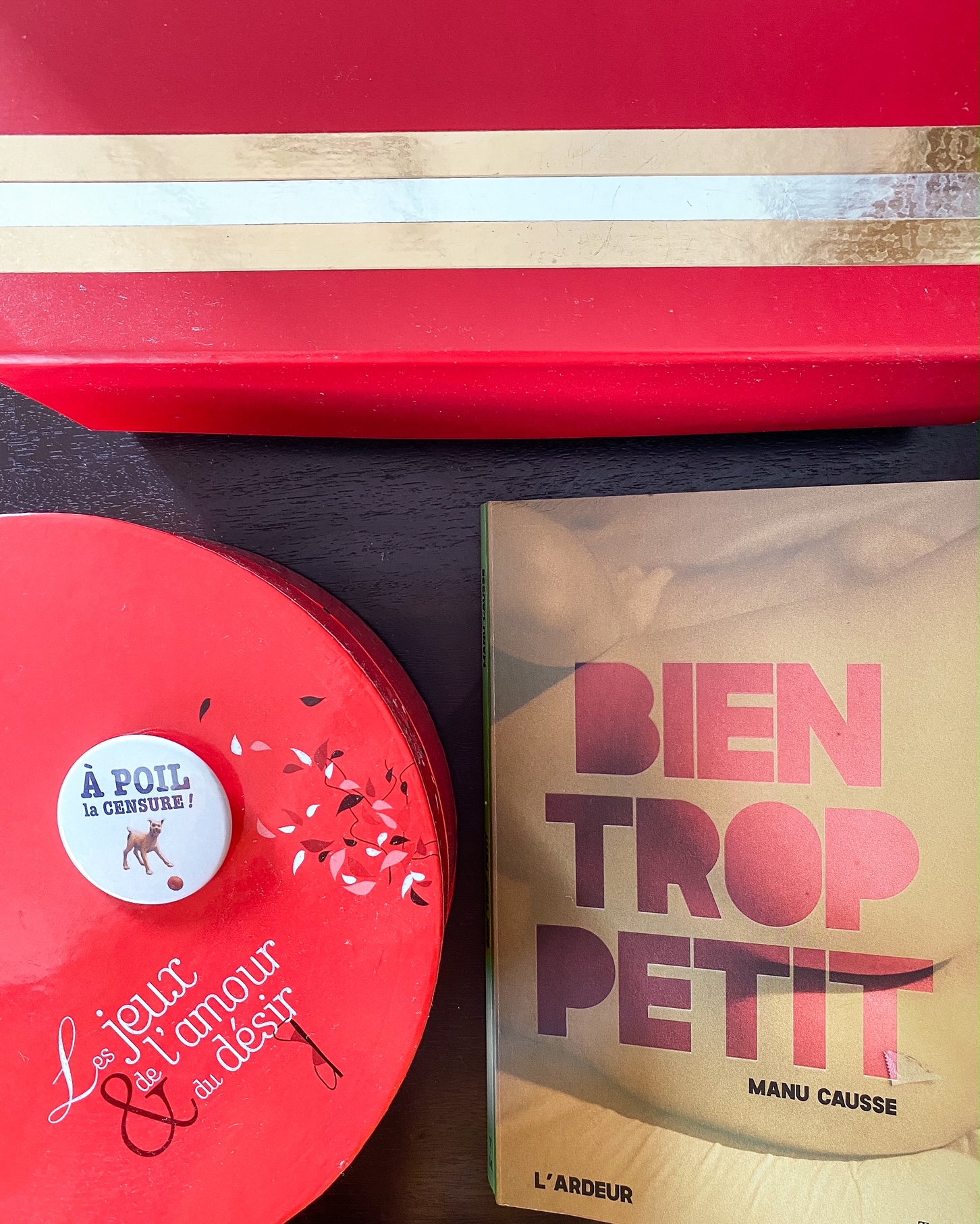 Photographie du livre "un problème de taille" de Manu Causse ; à sa gauche une boîte ronde rouge avec écrit "les jeux de l'amour et du désir", sur laquelle est posé un badge rond "A poli la censure" ; en haut, une boîte rouge rayée de doré et argenté