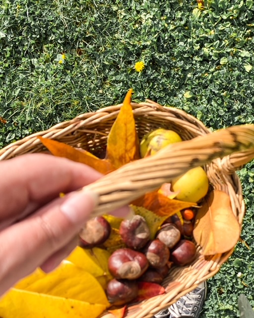 Une main tenant un panier rempli de feuilles et de marrons