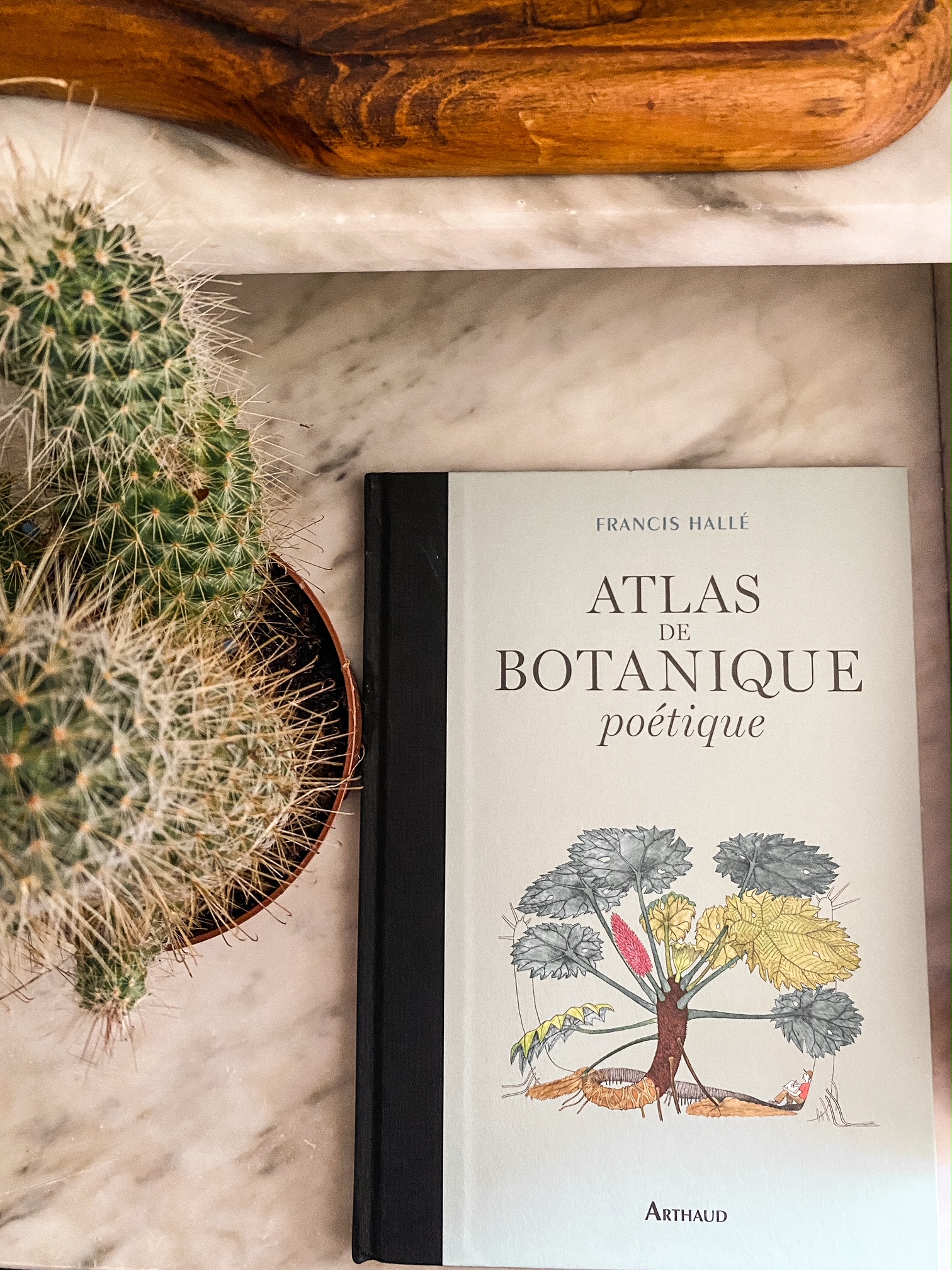 Atlas de botanique poétique, de Francis Hallé : toutes les merveilles de la nature