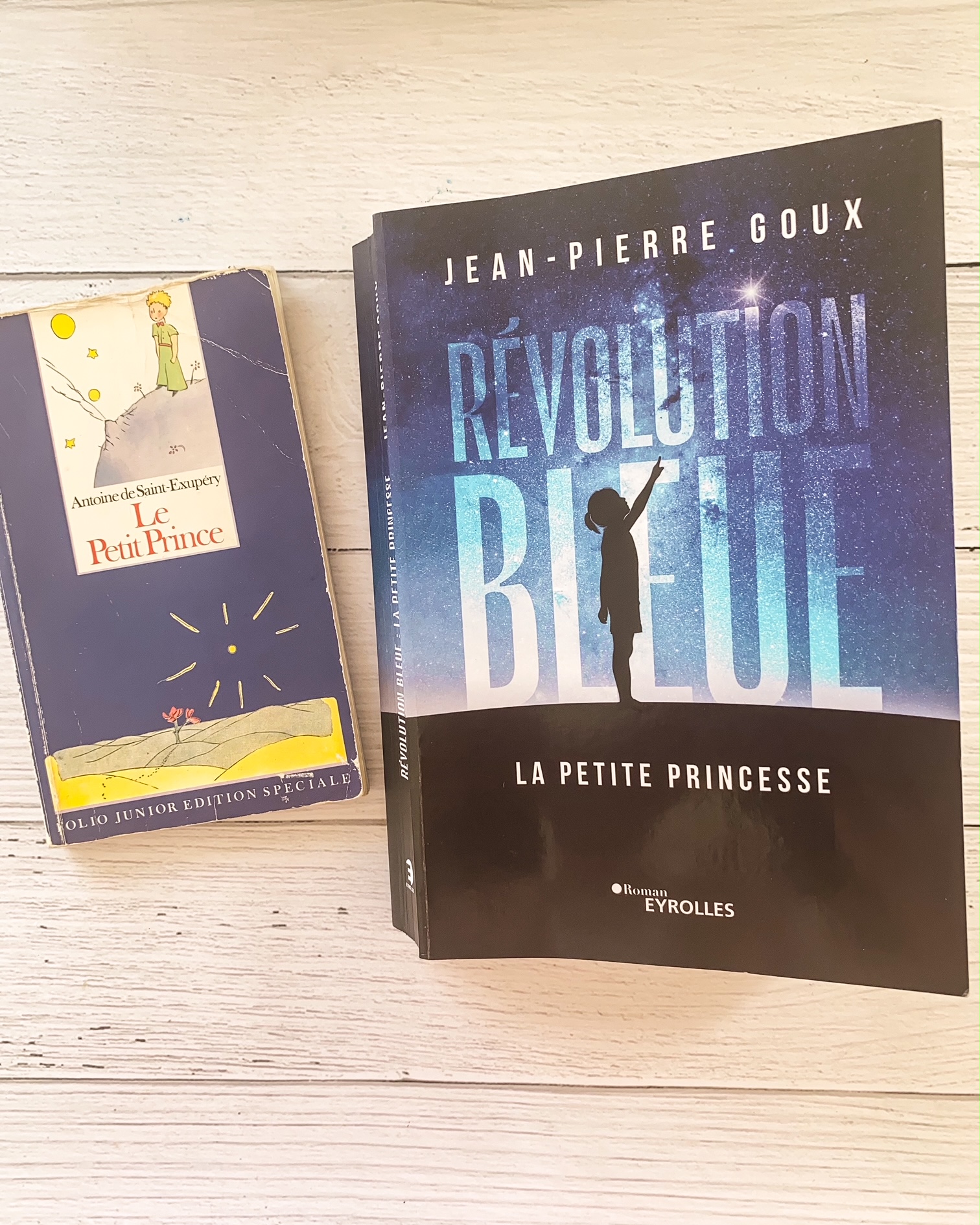 La Révolution bleue, de Jean-Pierre Goux